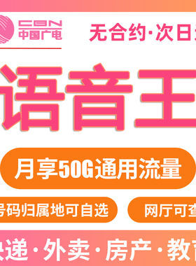 超长通话电话卡骑士卡语音卡2000分钟外卖快递全国通用属地可选号