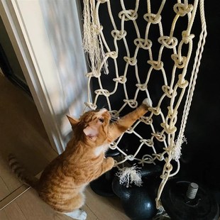 热销多功能猫咪攀爬架麻绳网围栏封顶网罩通天树猫吊床楼梯防坠防
