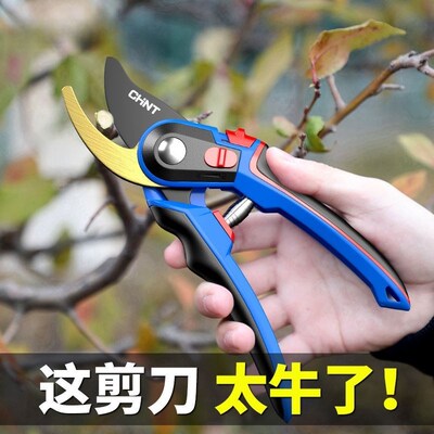 热销修枝剪树枝剪刀园艺剪刀果树修花剪园林草坪剪绿篱修剪刀家用