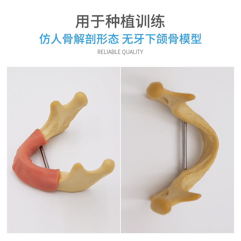 热销口腔模型牙科材料牙齿种植练习上颌窦齿科耗材器械软牙龈