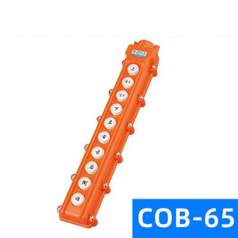 COB-65行车开关 防雨 防水型电动葫芦按钮开关 吊机起重控制开关