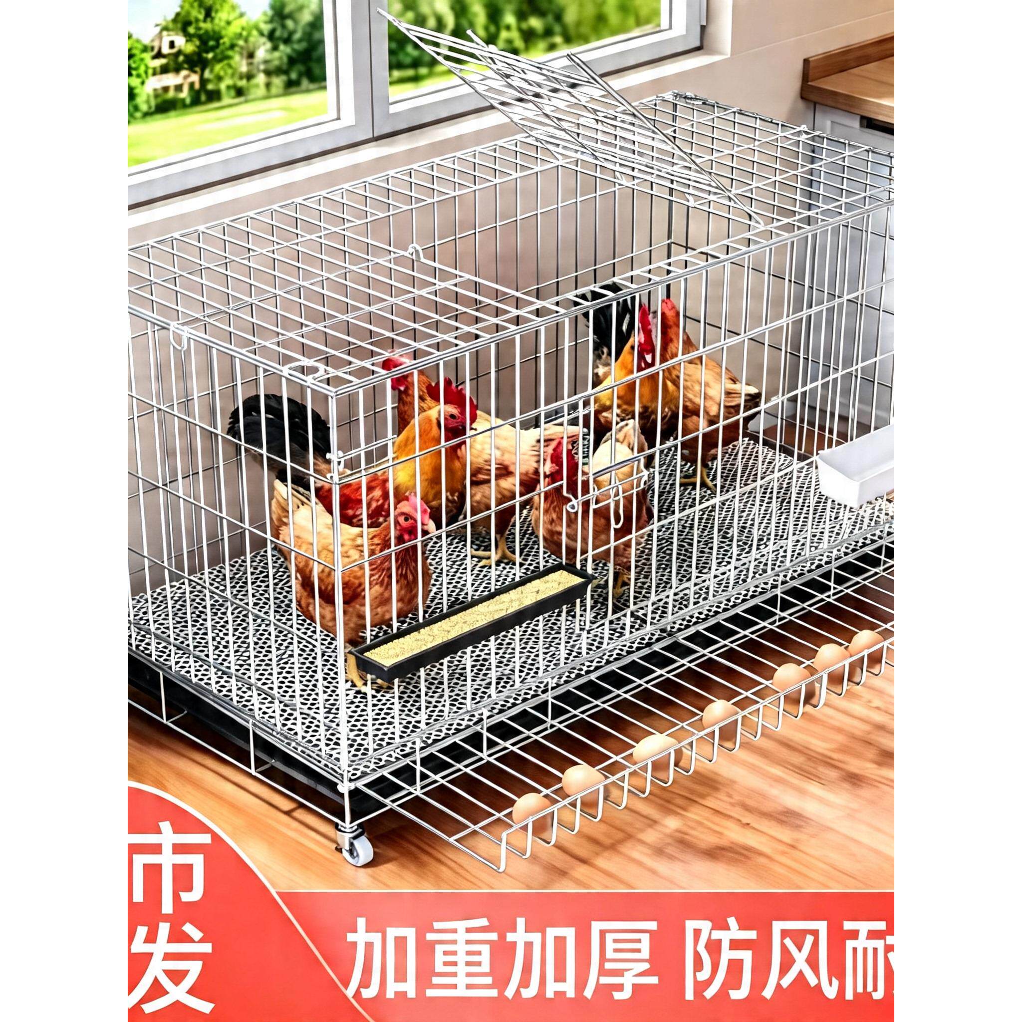 新疆包邮鸡笼子家用室外大号自动清粪养鸡笼鸭笼子室内小鸡鸽子笼