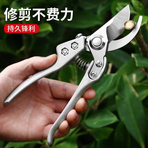 剪枝剪刀果树花剪园艺剪刀修枝剪省力园林剪家用果树修剪树枝强力