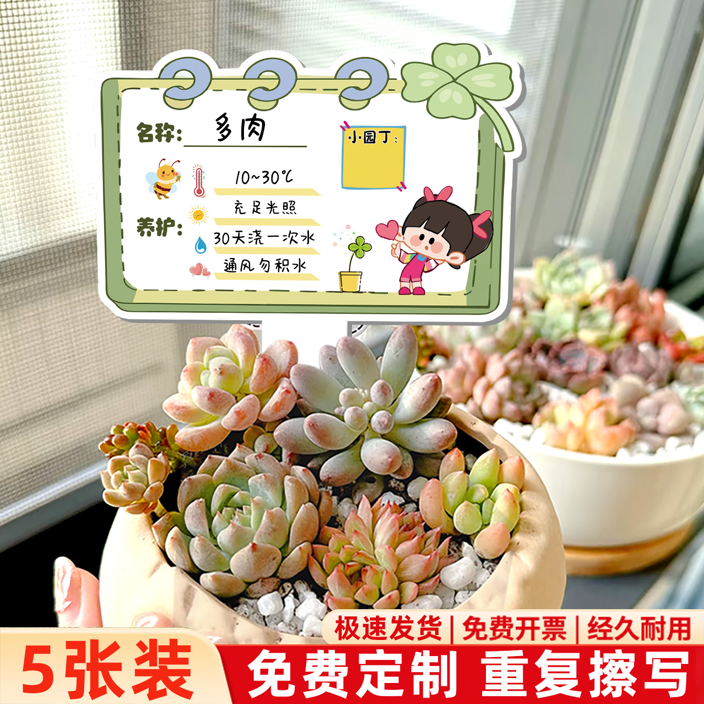 【防水加厚】幼儿园植物标签