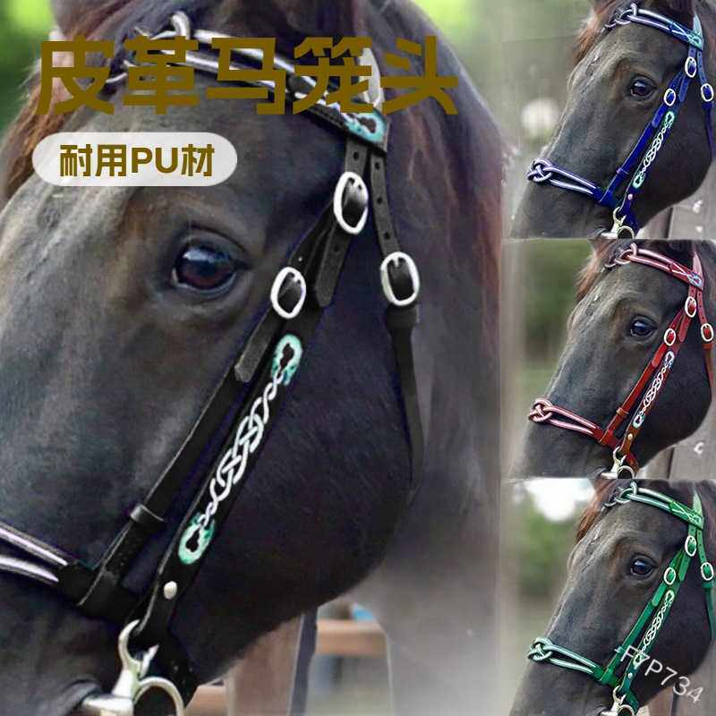2025马术用品欧美时尚皮革马笼头PU马匹装备金属牵马笼套
