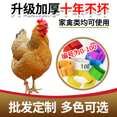 洲颂家禽脚环厂家直销