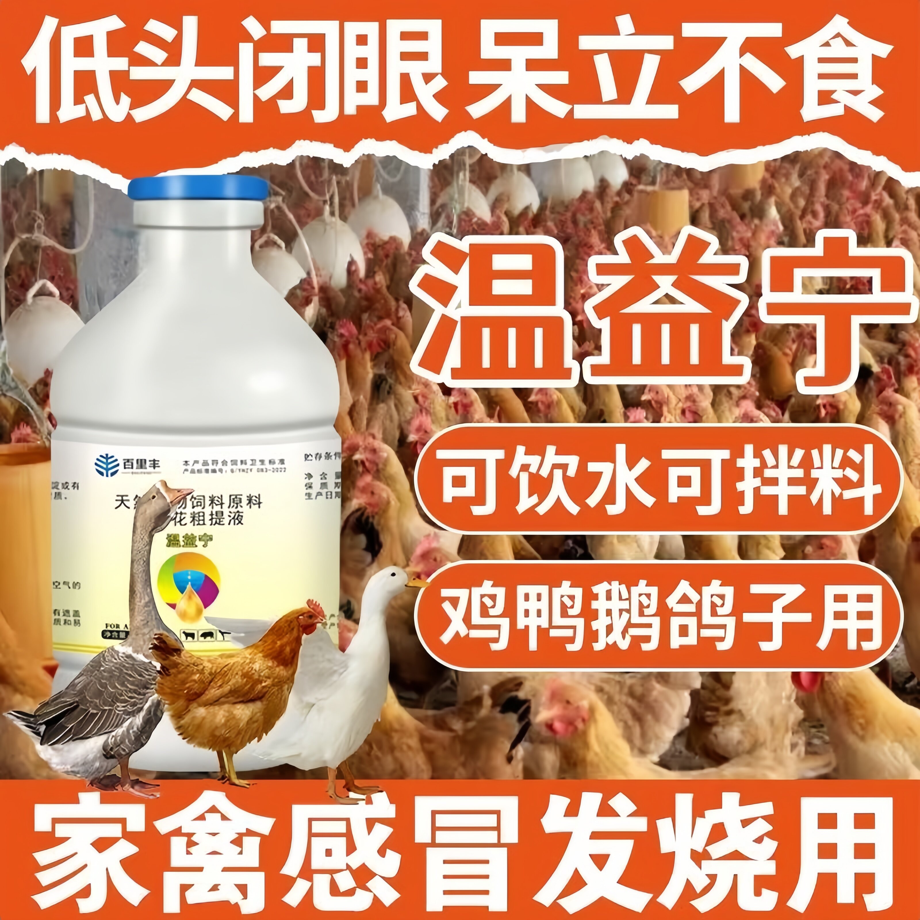 重症泻利停兽用猪用鸡鹅鸭牛羊肠炎腹泻猪拉稀泻止消炎饲料添加剂