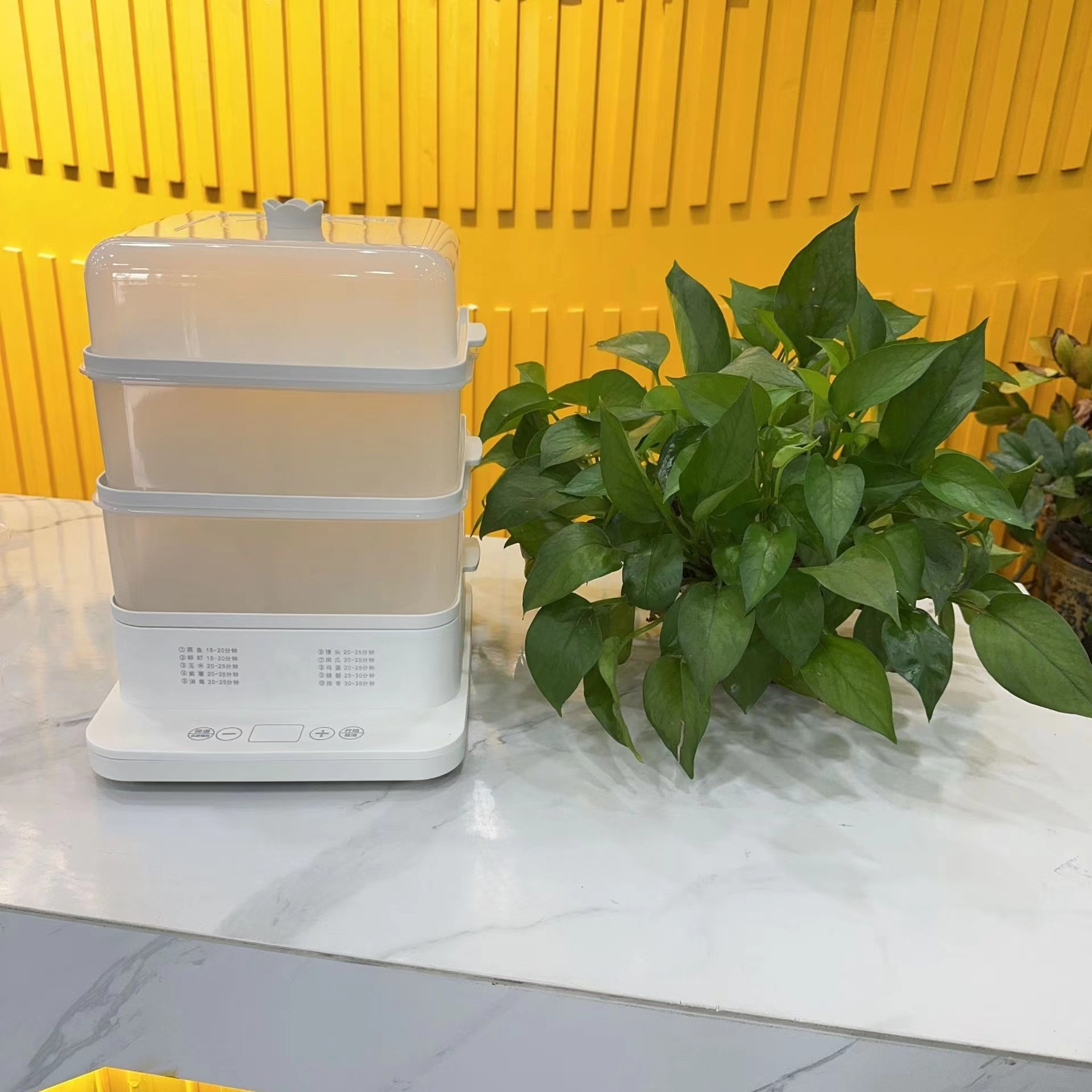 礼品会销电煮锅电蒸锅宿舍多功能蒸锅家用一体电蒸锅