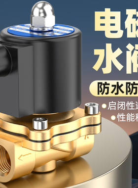 电磁阀水阀2W全铜常闭防水电子阀控制水气开 关阀220V24V4分6分1