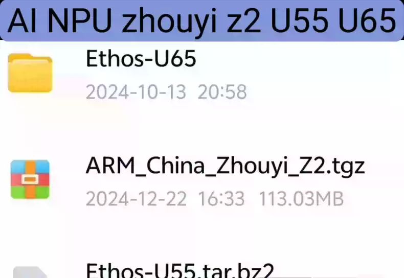 AINPU zhouyi z2 U55 U65