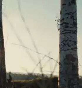 709转胶卷LUT，二级调色专用  Log素材需还原709后使用