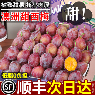 顺丰澳洲进口西梅5斤新鲜应当季水果甜蜜李子孕妇黑布林礼盒包邮