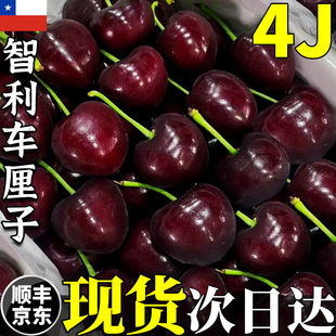 5斤4J智利进口车厘子新鲜水果红黑大樱桃脆甜多汁整箱包邮