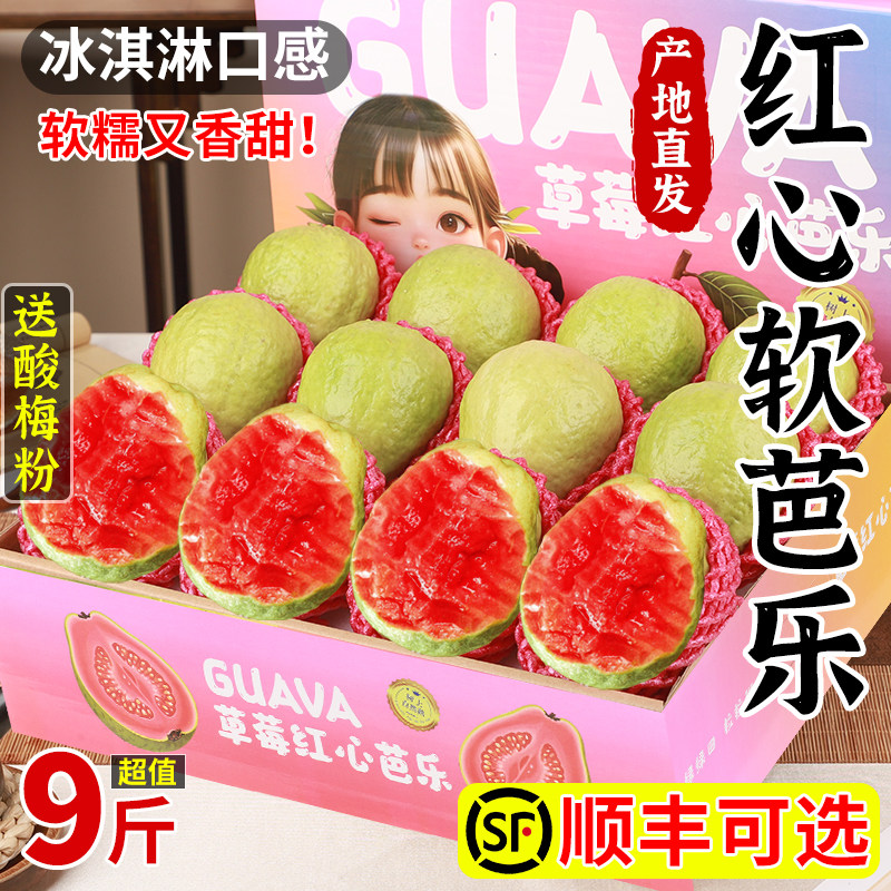 正宗福建红心芭乐番石榴9斤装