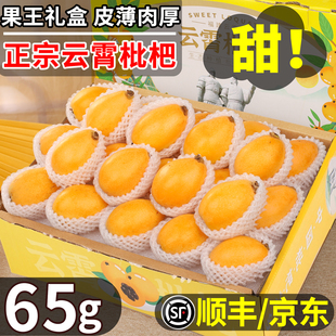 顺丰礼盒正宗云霄枇杷鲜果特大琵琶应季新鲜水果整箱包邮现摘现发