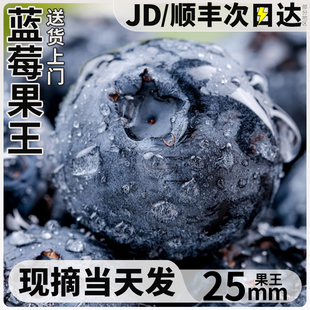 云南蓝莓新鲜水果当季蓝梅鲜果现摘高山怡颗孕妇大果整箱顺丰包邮