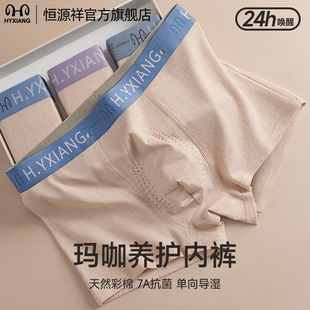 恒源祥男士四角内裤纯棉抑菌透气玛咖短裤青少年长绒棉亲肤裤衩