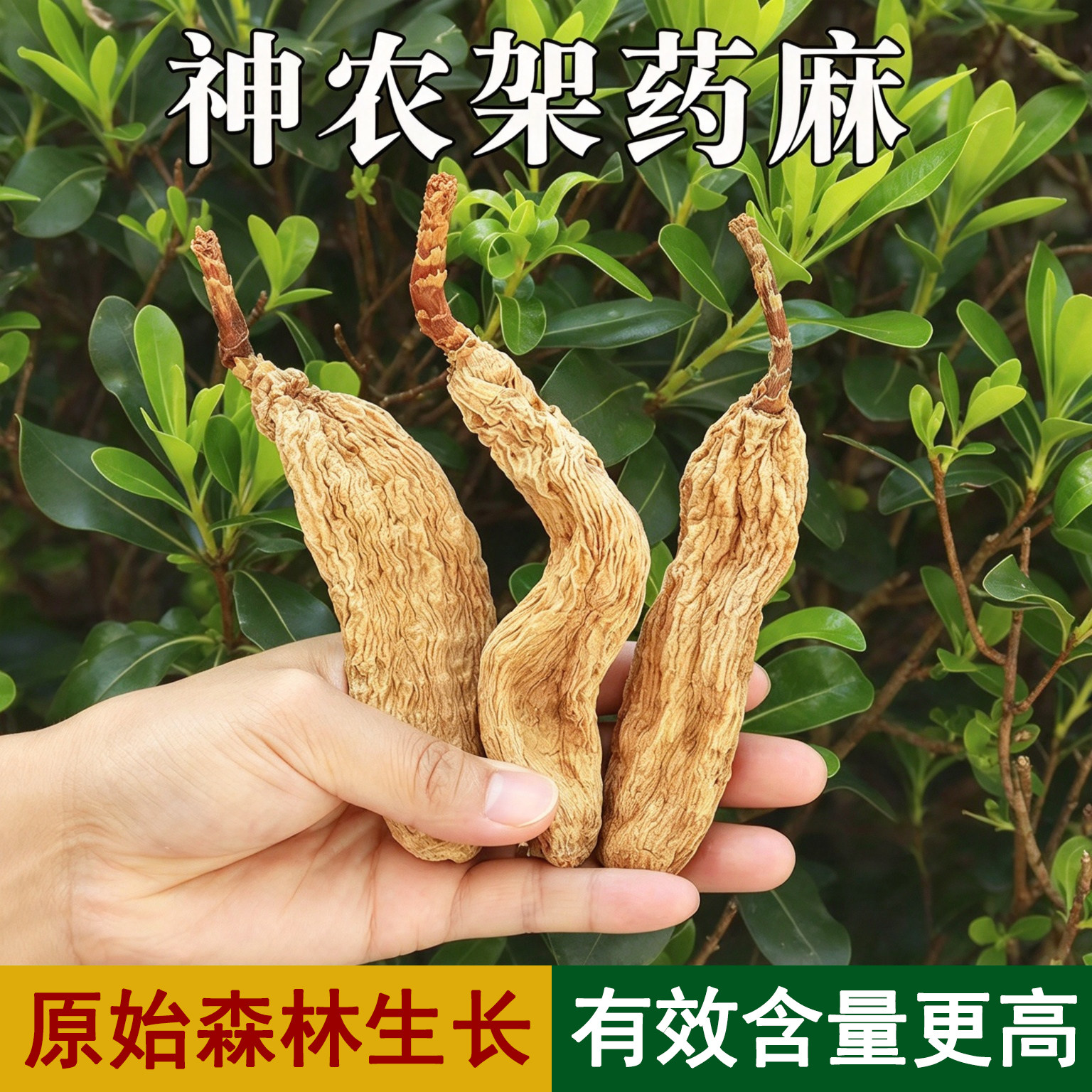 神农架药用天麻纯正中药材天麻头疼头晕煲汤免费打粉泡酒无硫熏