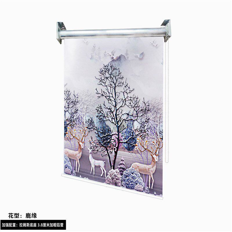 窗帘遮光新款2024免打孔安装卧室客厅厨房卫生间防水卷拉式风景帘