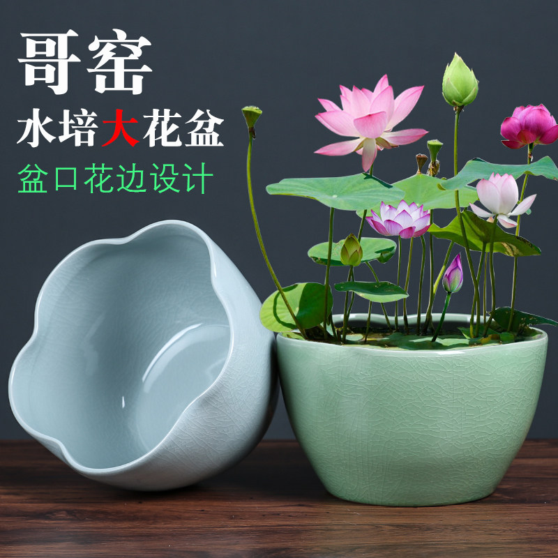 铜钱草水仙水培花盆陶瓷哥窑水养荷花睡碗莲一叶莲特大号鱼缸无孔