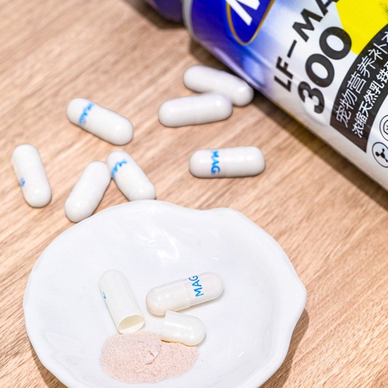 MAG宠物乳铁蛋白猫咪改善猫鼻支狗狗营养提升免疫0乳糖易吸收60粒,宠物/宠物食品及用品,狗特色保健品,淘宝优惠券,粉丝福利购,淘宝优惠卷