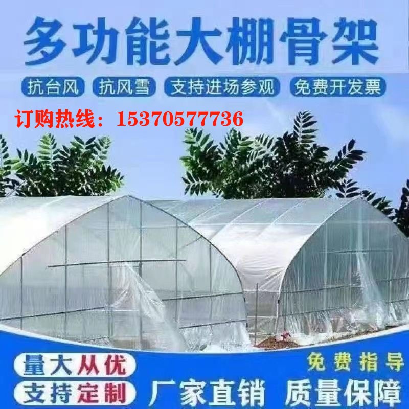 种植蔬菜温室大棚育苗草莓西瓜大棚骨架定制连体连栋大棚热镀管