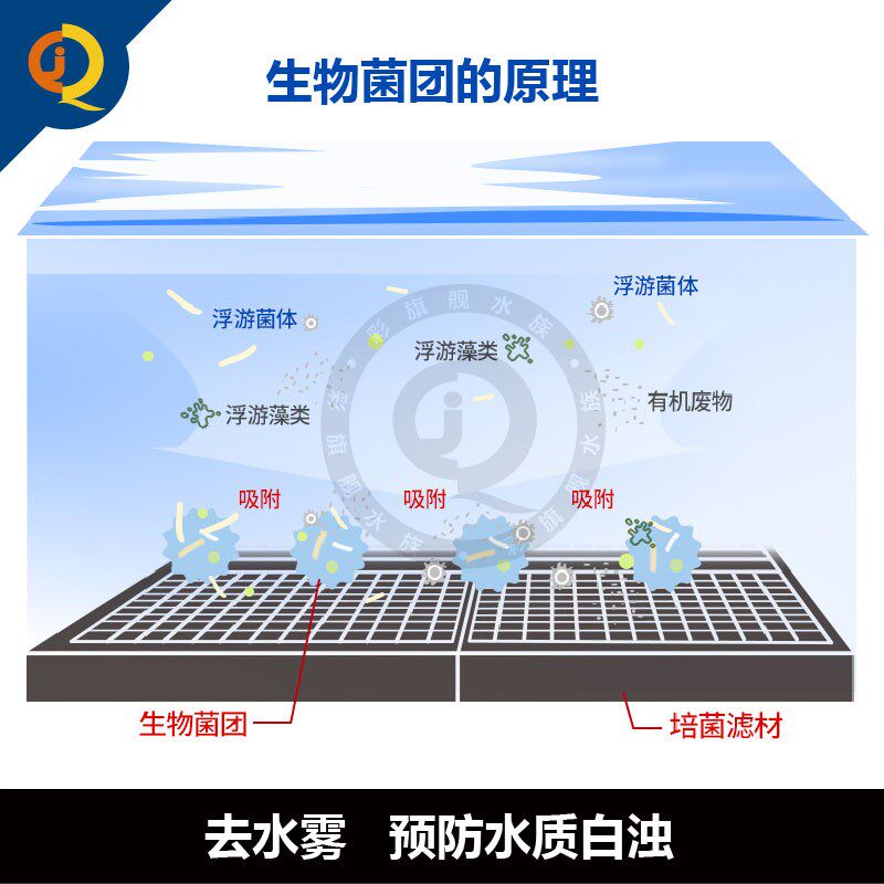 玛豆生物菌团新品奥倍齐硝化细菌水族超级浓缩消化活菌鱼缸净水剂