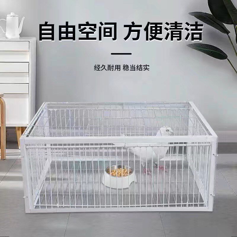 只进不出加密全自动天落笼户外回收鸽子捕神器加密抓鸽子撞门屋顶