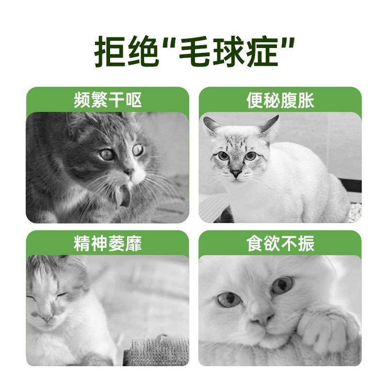 强生宠儿猫草片化毛球片猫咪专用去毛球狗消化吐毛排毛猫用化毛膏,宠物/宠物食品及用品,猫化毛膏/化毛球片,淘宝优惠券,粉丝福利购,淘宝优惠卷
