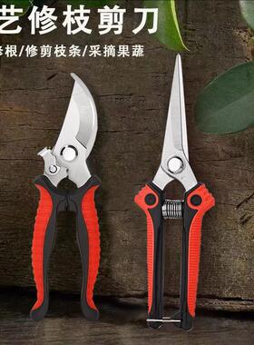 多功能修剪树枝花卉鲜花专用不锈钢粗枝摘果剪子花剪园艺剪刀套装