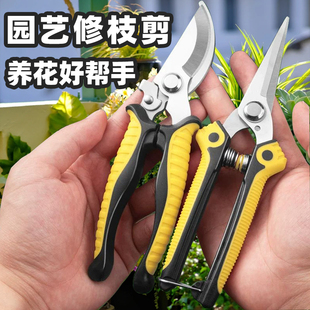 修枝剪园艺剪刀果树剪刀花艺修花修剪园林花卉枝剪刀粗大果枝花剪
