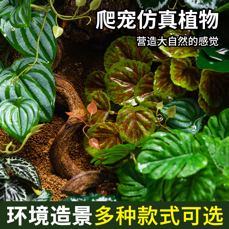 黄缘龟造景仿真植物饲养箱生态环境安缘乌龟缸爬宠箱躲避装饰绿植