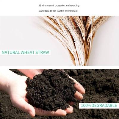 Blue ZOO Chloroplastida Degradable Wheat Orange Straw Enviro