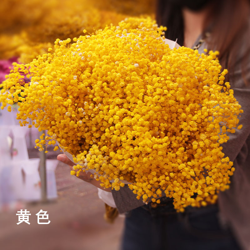 满天星干花大量永生花满天星diy花束混批装饰花真花干花