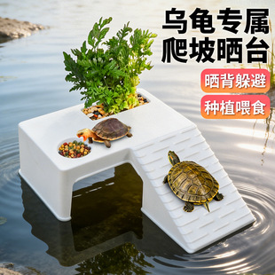 乌龟缸晒台爬台休息平台养乌龟造景一体晒背爬坡爬梯躲避龟箱装饰