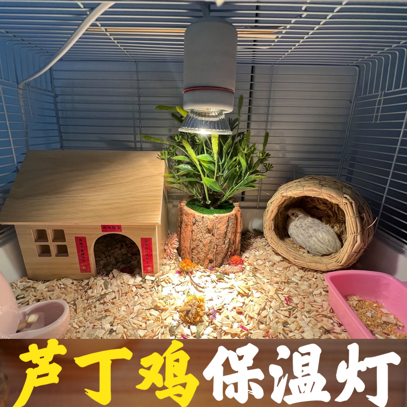 芦丁鸡保温灯自动温控器恒温灯取暖灯养殖箱育雏灯小鸡加温加热灯