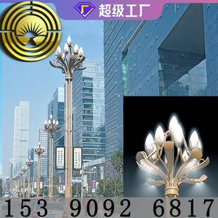 玉5兰灯异形中华灯厂家8米10M12M1MSOP组灯市合路政照明工程道照
