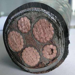 国标YJV223+2阻燃带凯铜芯电缆线ZR-YJV22 3X10/16/240+2平方发票