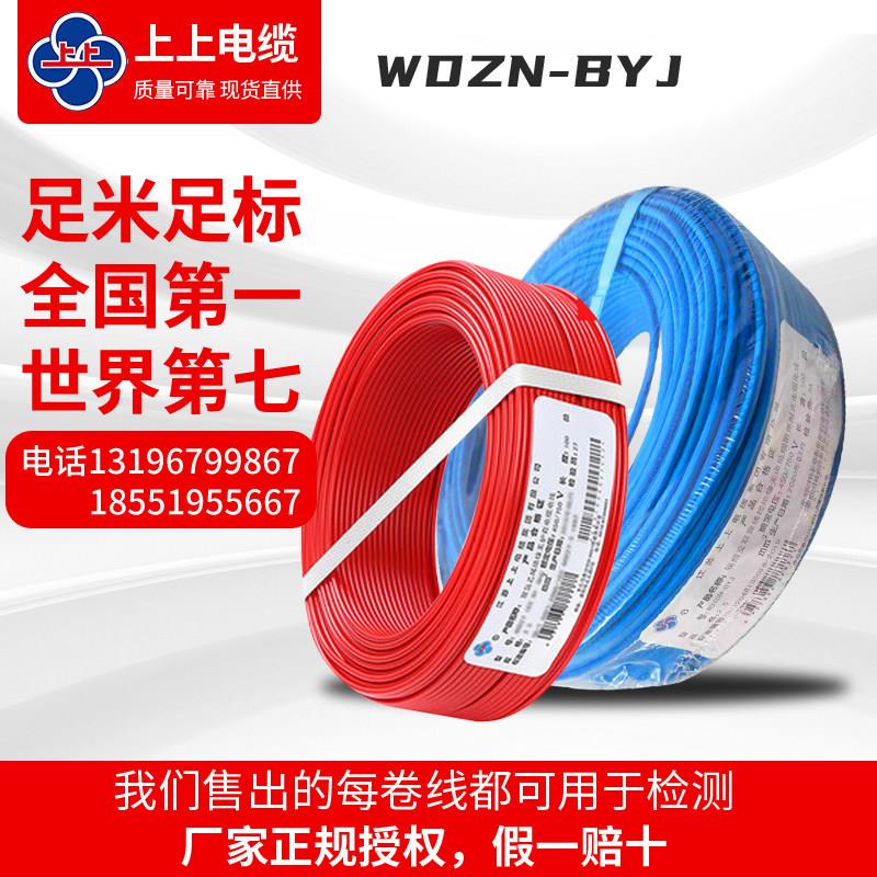 WDZCN-BYJ消防1.5/2.5/4/6上上电缆国标低烟无卤阻燃耐火硬铜电线