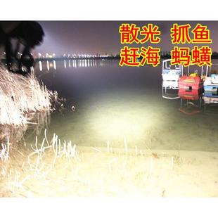 12V散光头灯强光抓鱼黄鳝蚂蟥微黄光大光斑钓鱼赶海大光圈头戴
