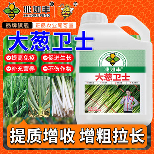 兆如丰大葱卫士提质增收增粗拉长干尖黄叶烂根白粉病预防病害桶装