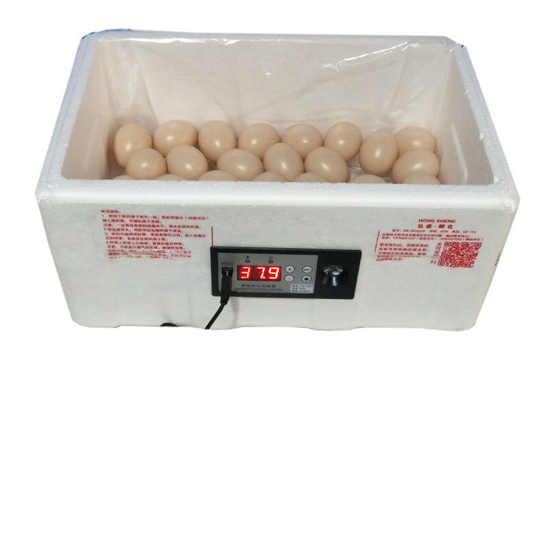 好货新品孵化器小型家用25/35枚z孵化机迷你小鸡鸭鹅蛋智能孵化箱