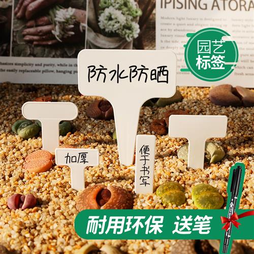 多肉标签T型插牌小标注神器园艺植物花卉标签塑料防水标记标识牌