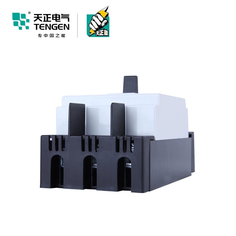 天正电气TENGEN塑壳漏电保护断路器空气开关DZ15LE-40/290132A30m