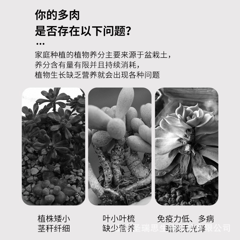 多肉专用肥料增肥增色控徒长室内家用盆栽花肥料氮磷钾缓释复合肥