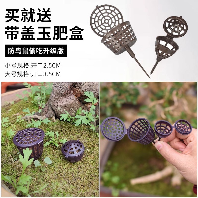 玉肥日本进口松柏玉肥盆景专用通用有机缓释肥盆栽肥料真原装进口