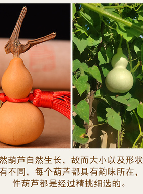 好货入户门正对门吉祥结挂件破解五帝钱家中门对窗天然葫芦五吊钱