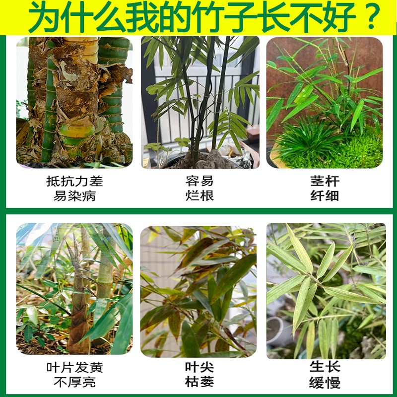 竹子专用肥料竹子专用营养液土内门竹发黄小叶簕竹盆栽类毛竹预防
