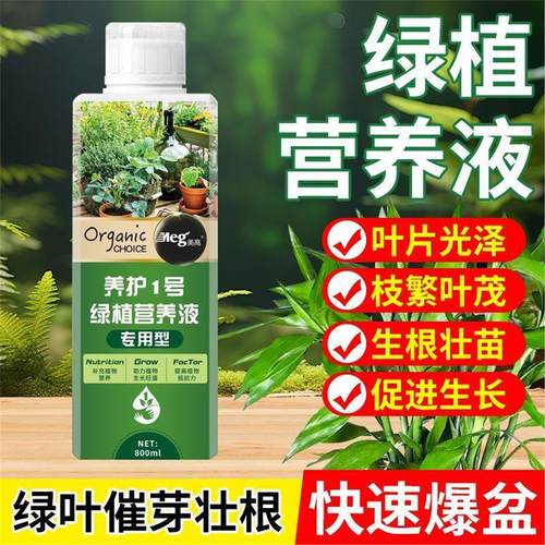 营养液植物通用型家花卉绿