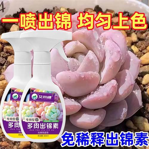 多肉营养液花卉爆芽专用肥
